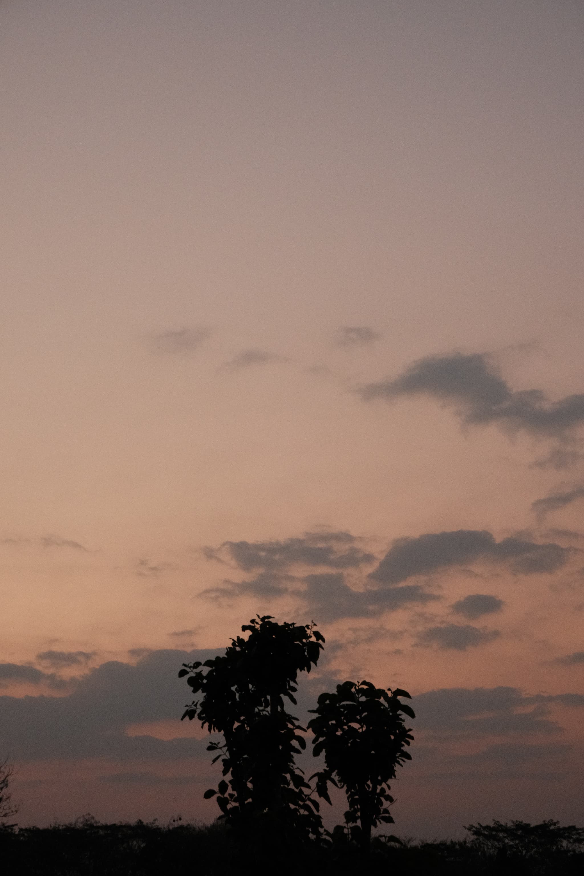 Photo by Taufiq