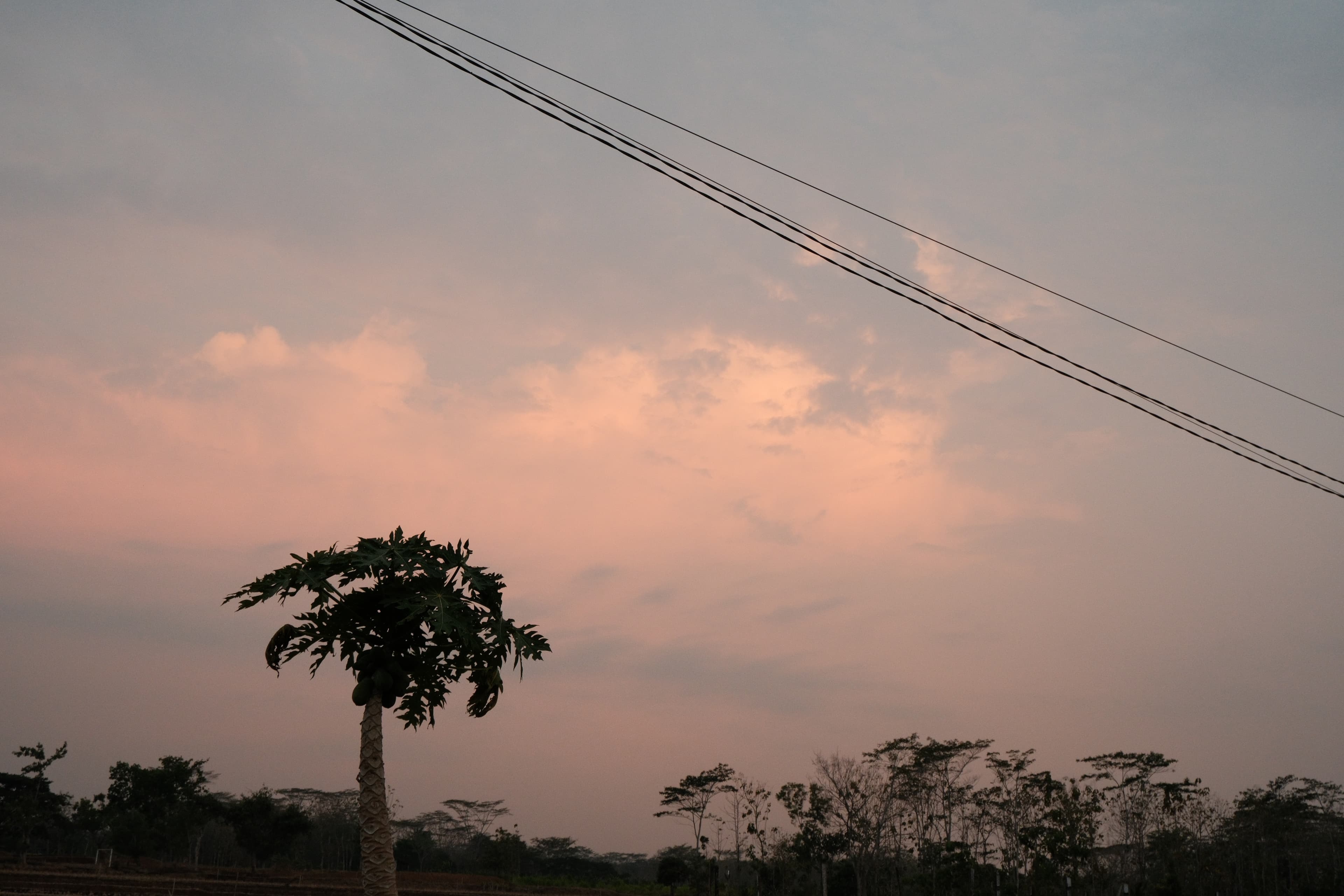 Photo by Taufiq