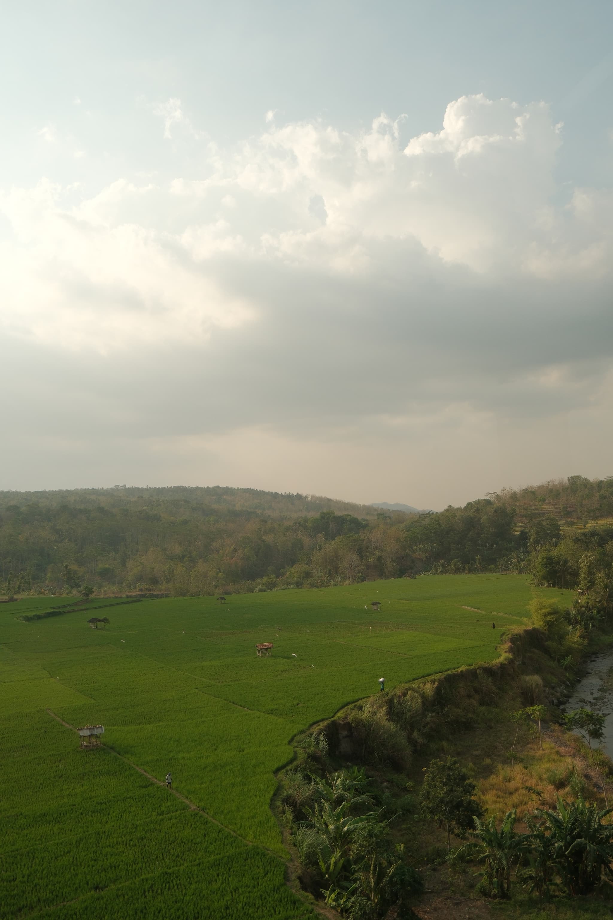 Photo by Taufiq