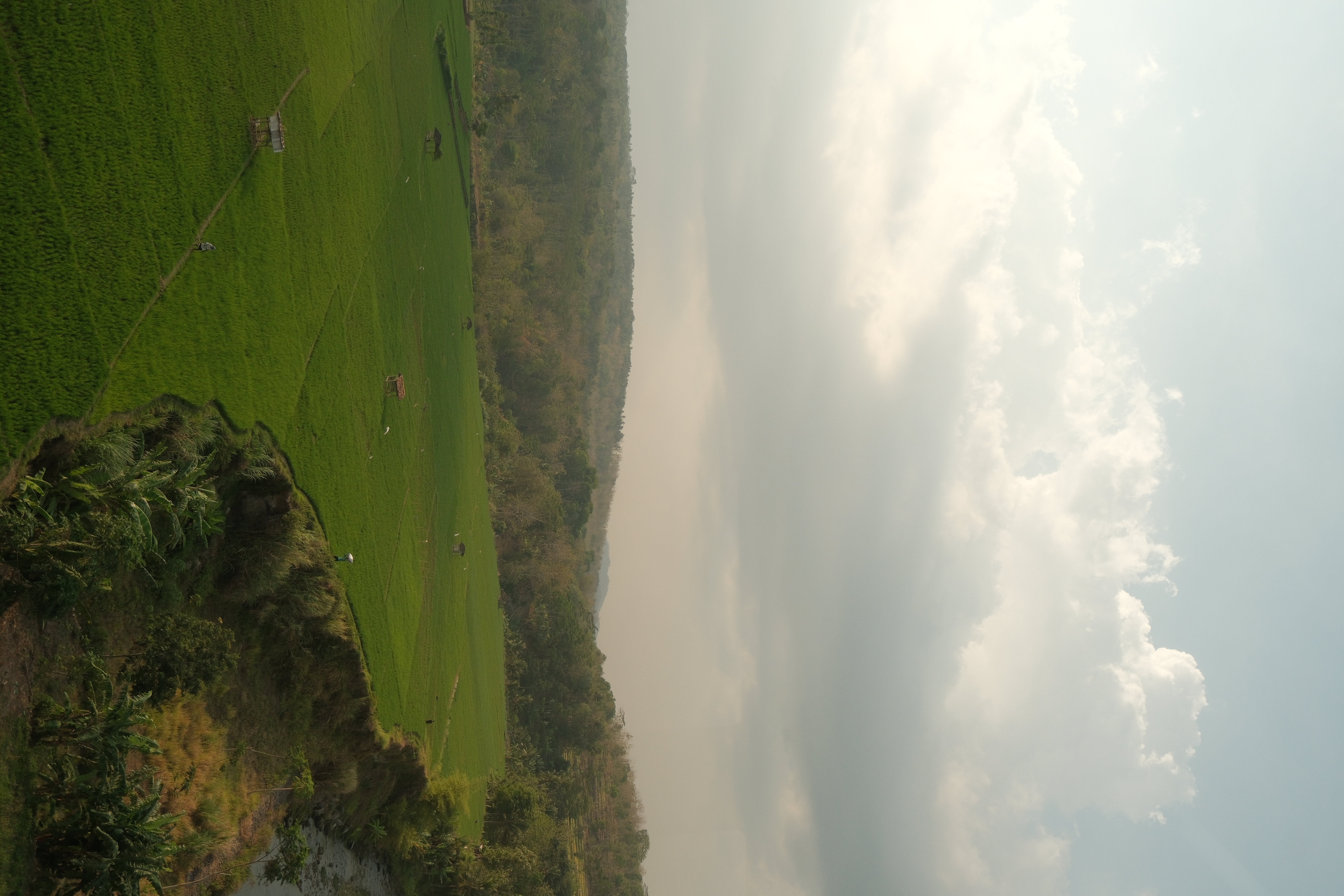 Photo by Taufiq