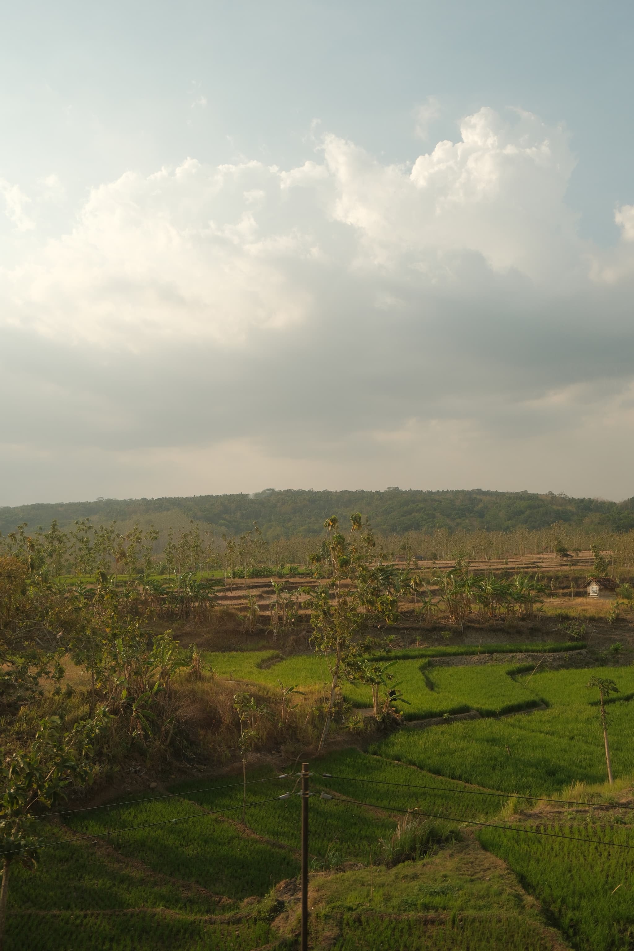 Photo by Taufiq