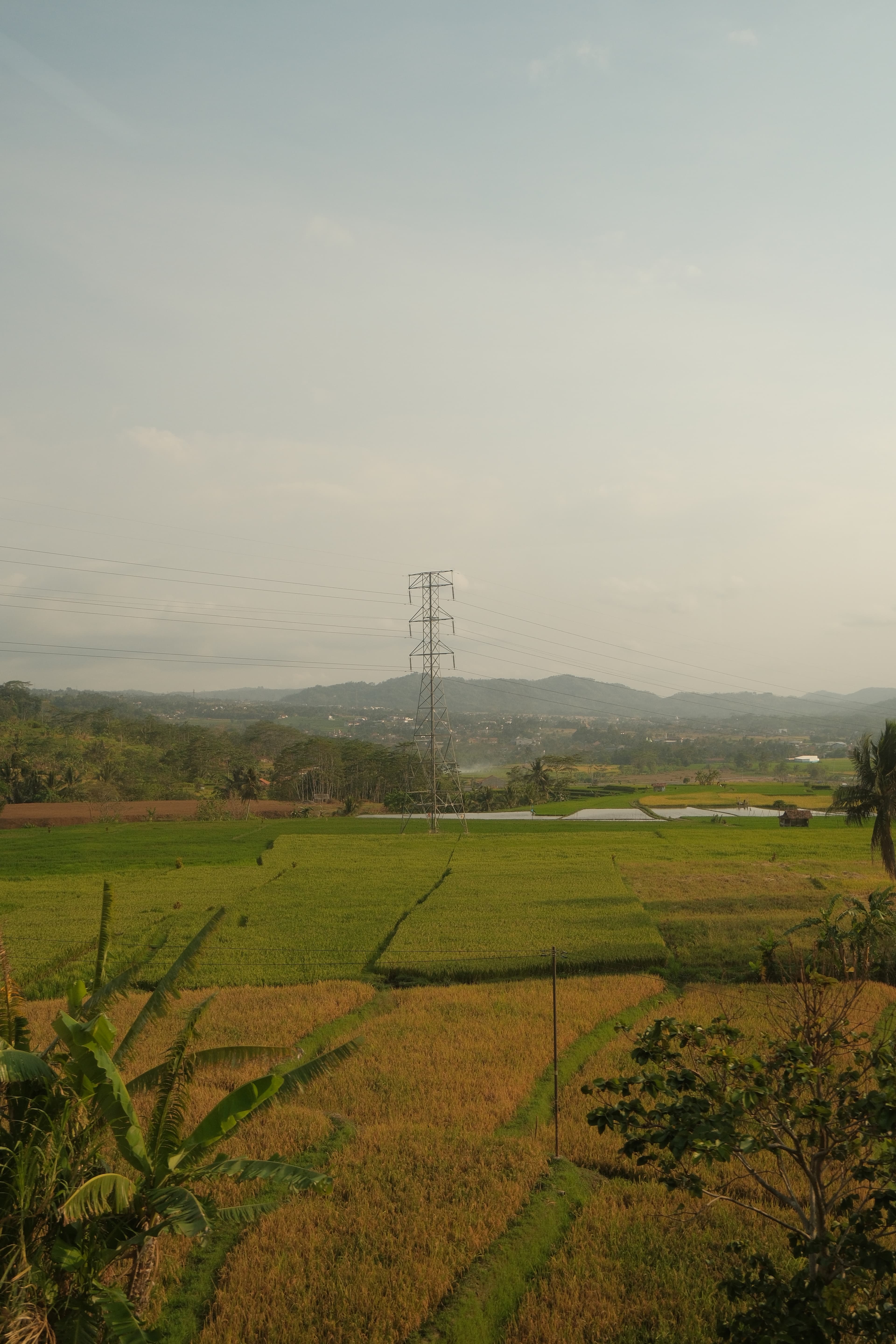 Photo by Taufiq