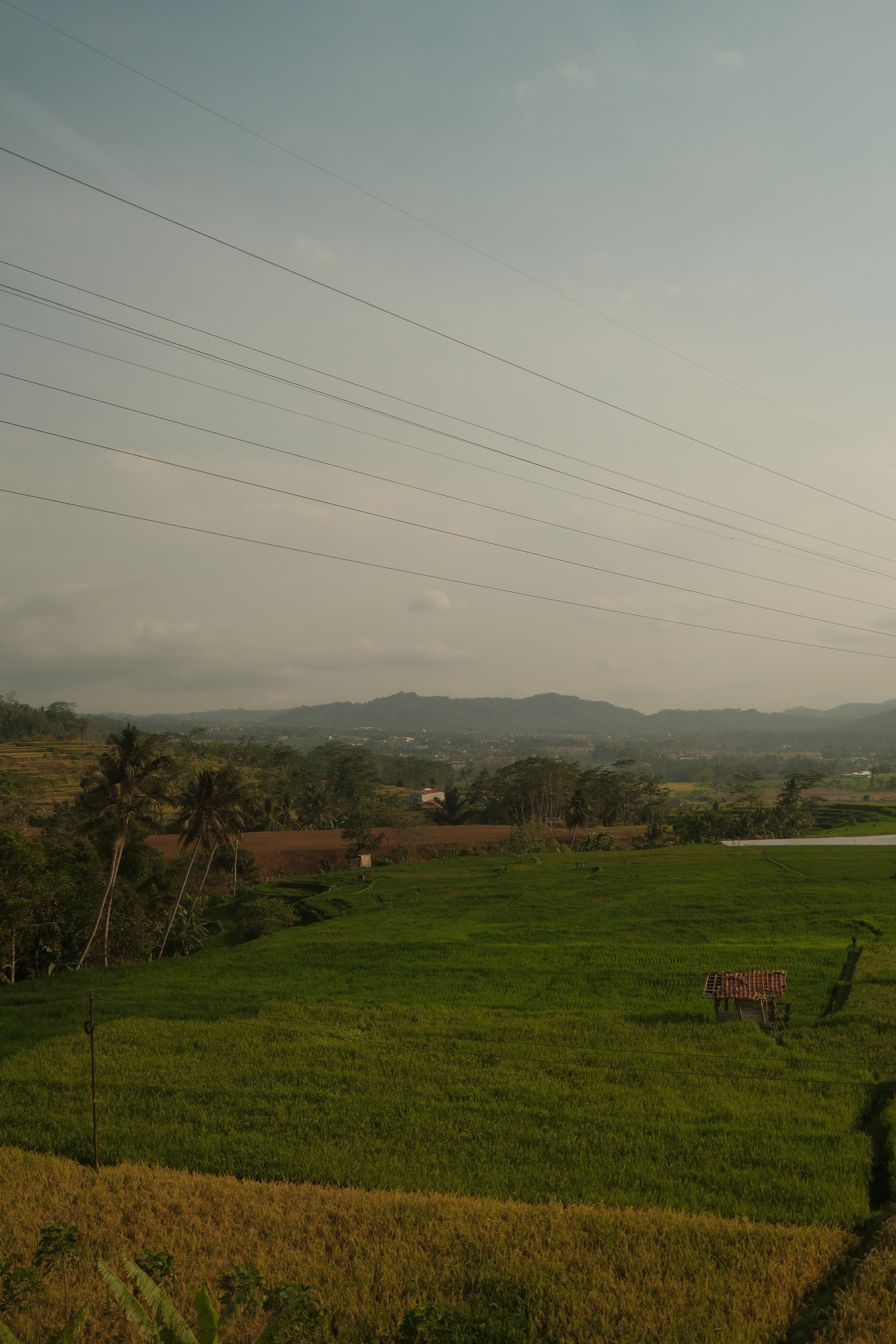 Photo by Taufiq